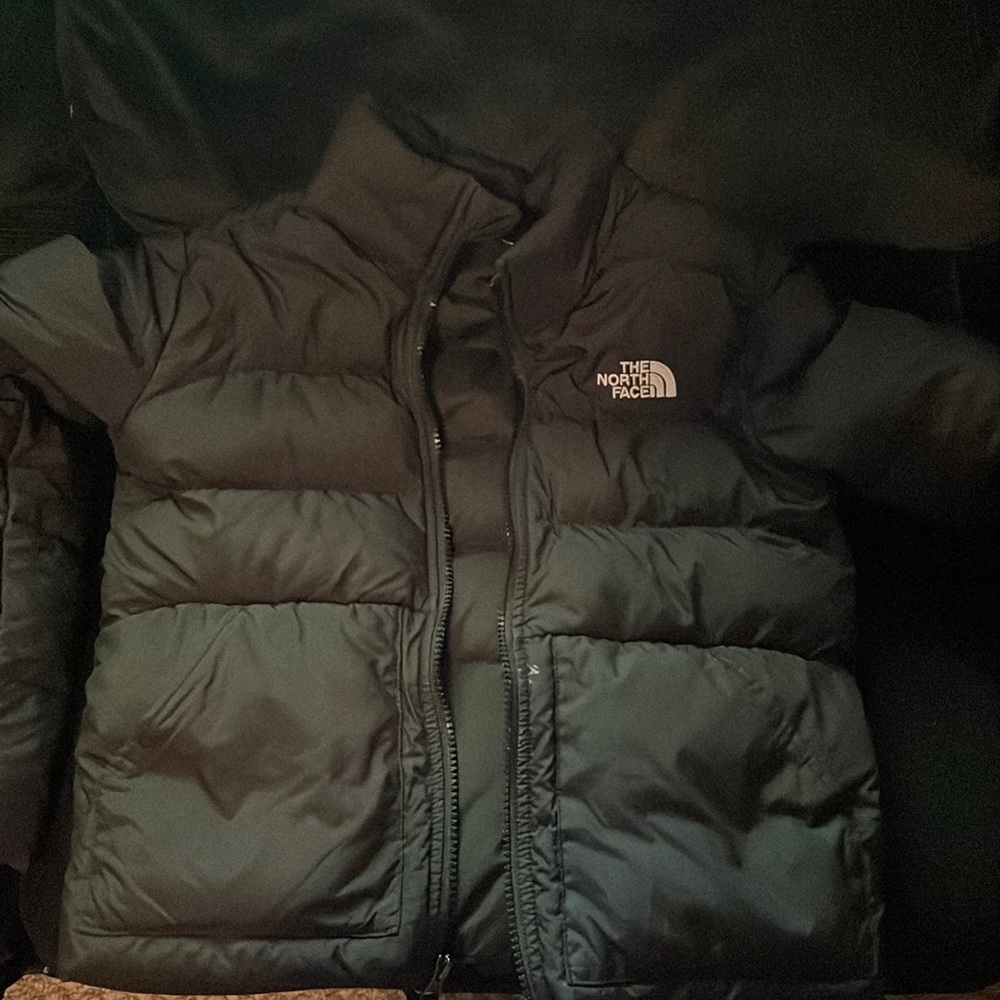 The North Face Black Puffer Jacket